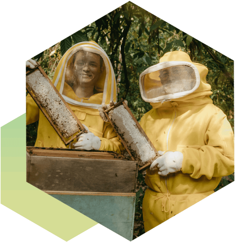 Two people in yellow suits holding a bee hive.