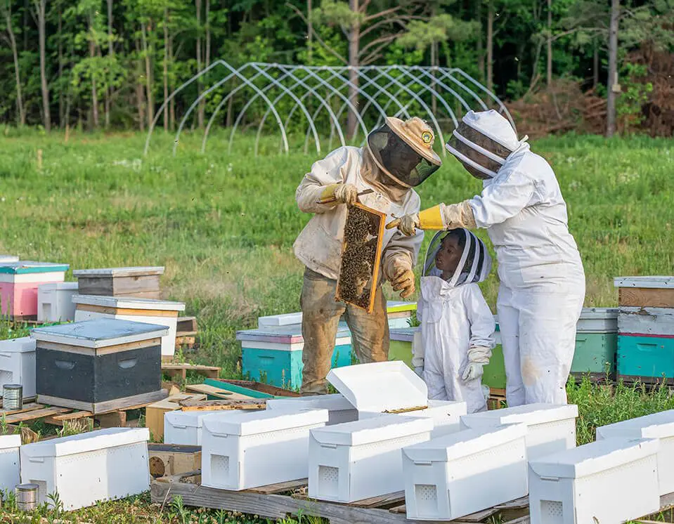 A couple of people that are working on beehives